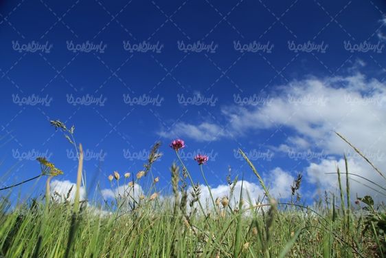 چشم انداز زیبای بهار