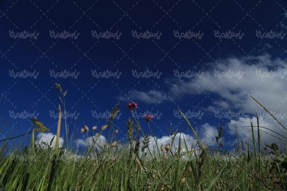 چشم انداز زیبای بهار