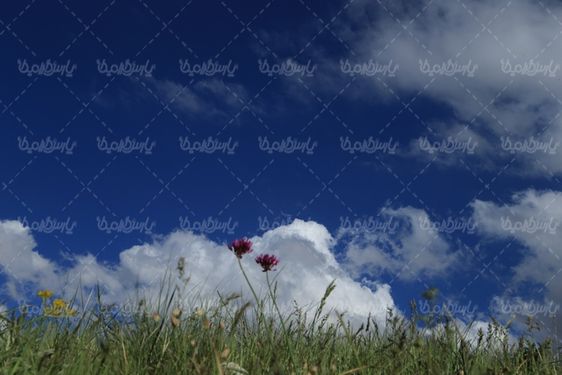 تصویر با کیفیت آسمان آبی