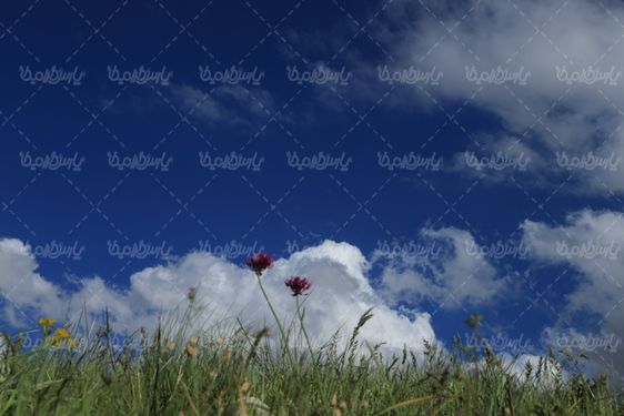 تصویر با کیفیت آسمان آبی