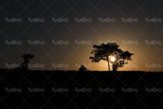 چشم انداز غروب خورشید