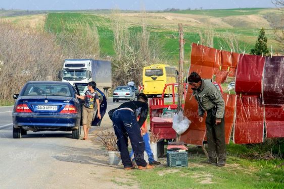 عکس با کیفیت لواشک محلی