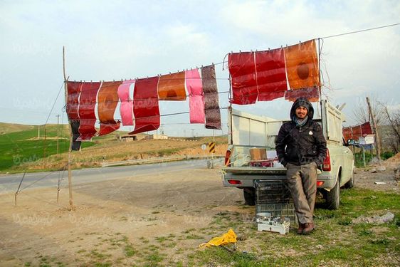 تصویر با کیفیت لواشک محلی