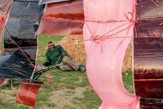 تصویر با کیفیت لواشک محلی