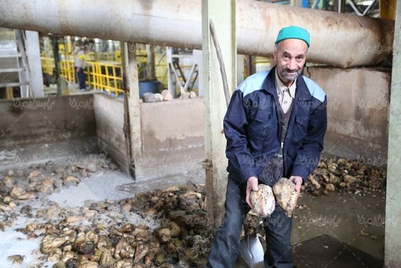 تجهیزات کارخانه قند