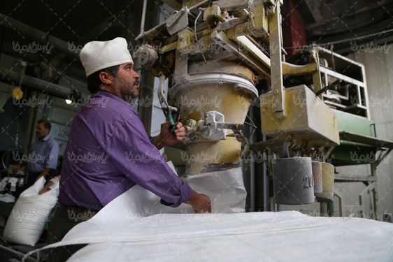 عکس با کیفیت شکر