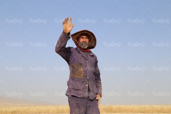 دانلود تصویر برداشت گندم