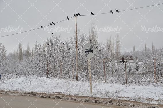 منظره زیبای زمستانی
