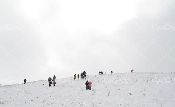 دانلود تصویر تفریحات زمستانی