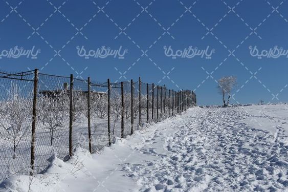 چشم انداز برفی