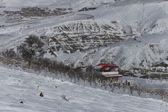 روز زیبای برفی