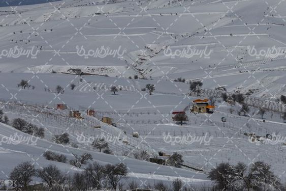 روز زیبای برفی