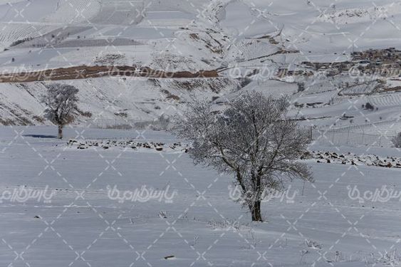 چشم انداز زیبای برفی