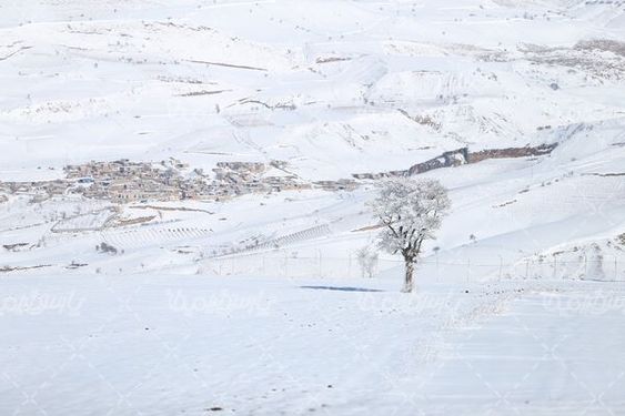 چشم انداز زیبای برفی