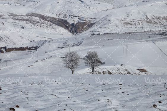 چشم انداز زیبای برفی