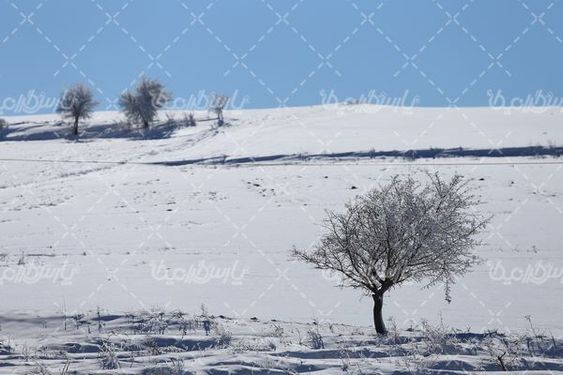 چشم انداز زیبای برفی