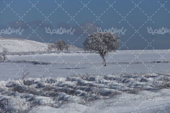 چشم انداز زیبای برفی