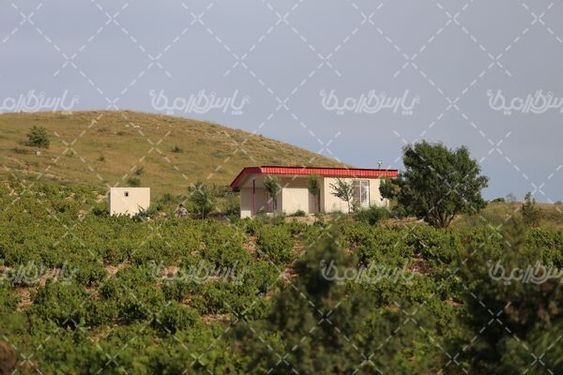 تصویر با کیفیت خانه باغ