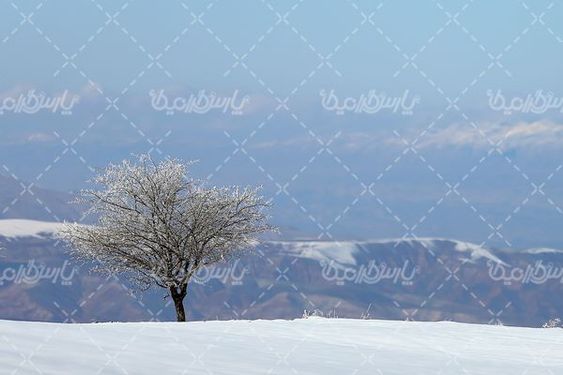 طبیعت زمستانی
