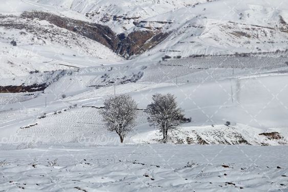 طبیعت زمستانی