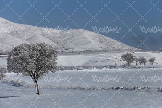 طبیعت زمستانی