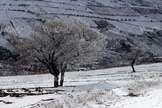 طبیعت زمستانی
