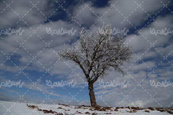 طبیعت زمستانی