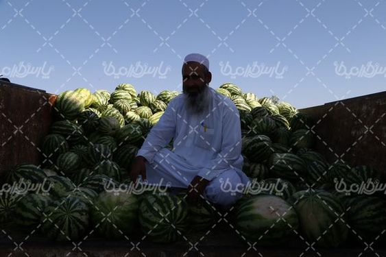 تصویر هندوانه