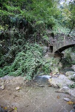 تصویر پل زیبا