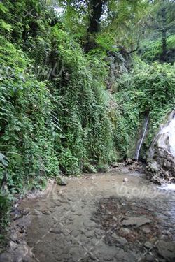 طبیعت دیدنی