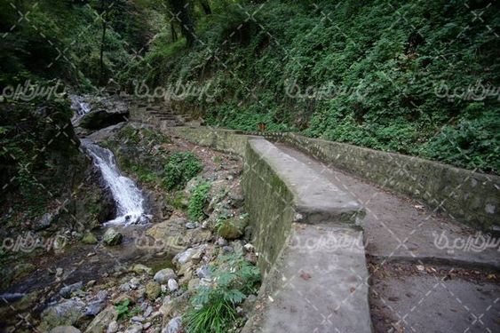 دانلود تصویر با کیفیت طبیعت جنگلی