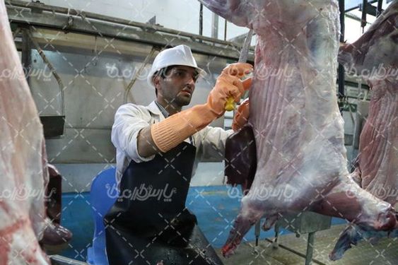 کشتارگاه صنعتی