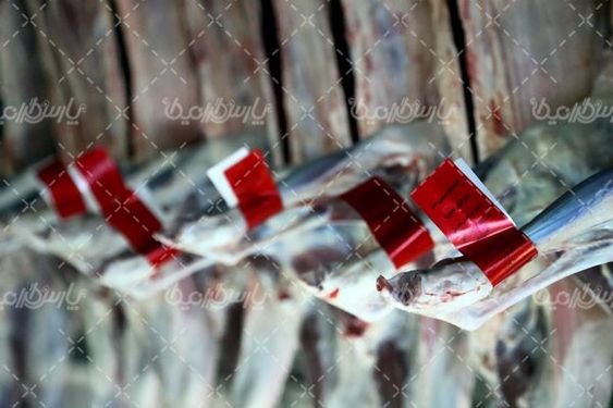 کشتارگاه صنعتی