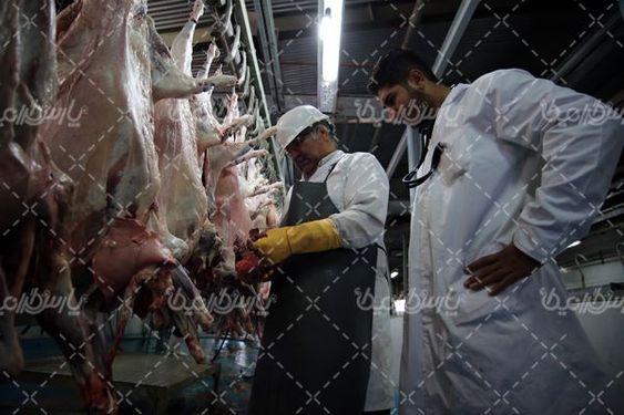 کشتارگاه صنعتی