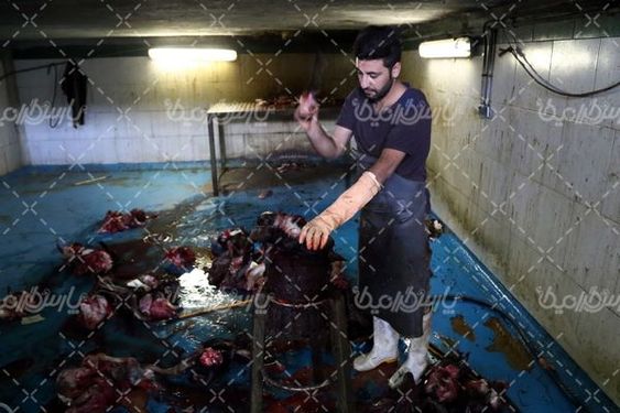 کشتارگاه صنعتی