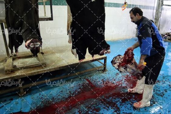 تصویر کشتارگاه صنعتی