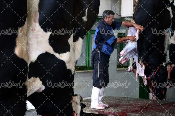 تصویر کشتارگاه صنعتی