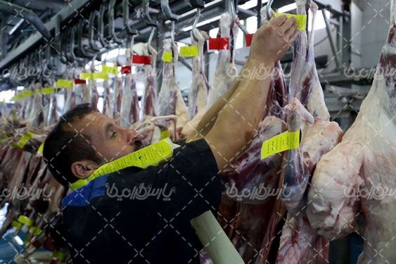 تصویر کشتارگاه صنعتی