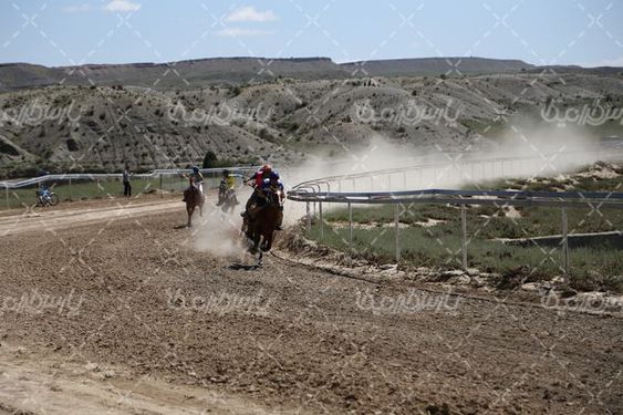 کورس اسب سواری