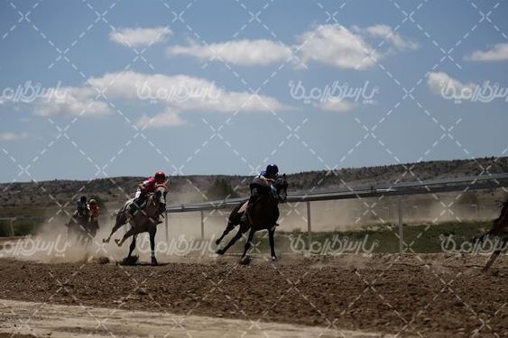 کورس اسب سواری