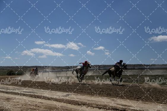 تصویربا کیفیت کورس اسب سواری