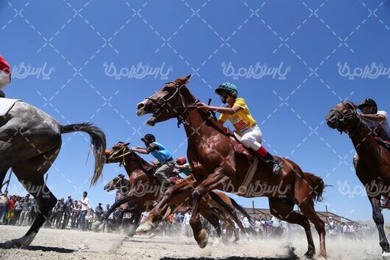 تصویربا کیفیت کورس اسب سواری