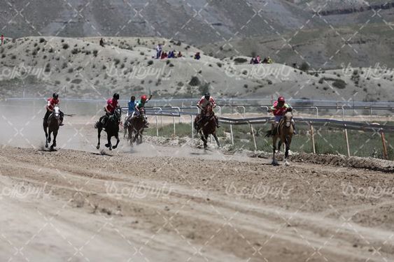 تصویربا کیفیت کورس اسب سواری