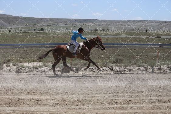 تصویربا کیفیت اسب سواری