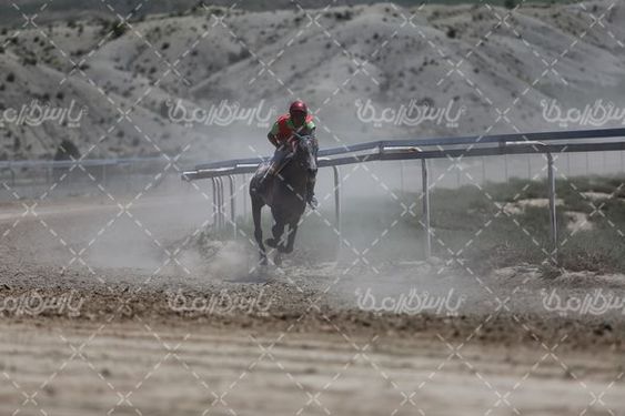 تصویربا کیفیت اسب سواری