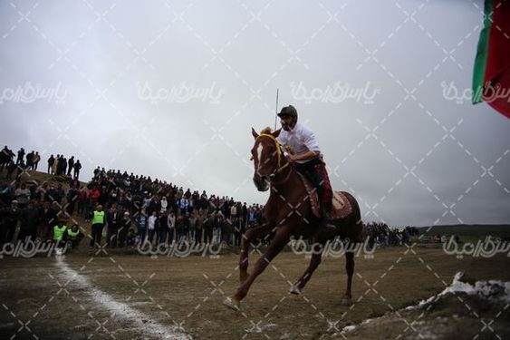 تصویربا کیفیت اسب سواری