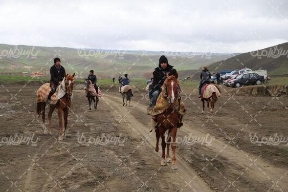 تصویربا کیفیت اسب سواری