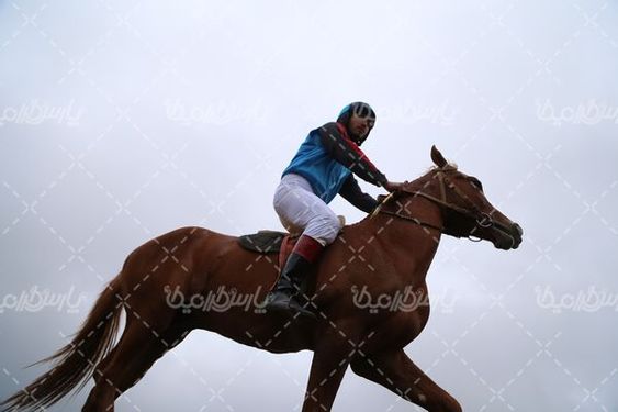 تصویربا کیفیت اسب سواری