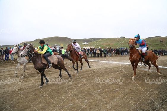 تصویربا کیفیت اسب سواری