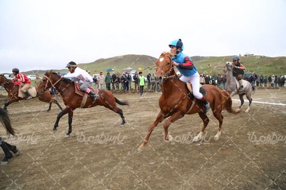 تصویربا کیفیت اسب سواری